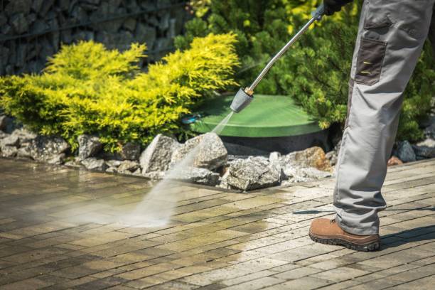 Best Parking Lot and Garage Cleaning  in Montrose, MN