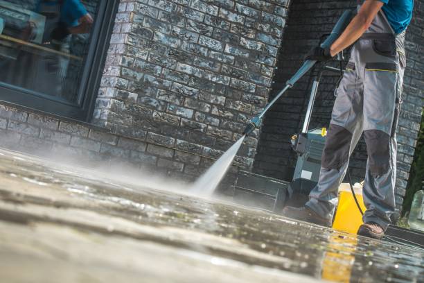 Best Fleet Vehicle Washing  in Montrose, MN