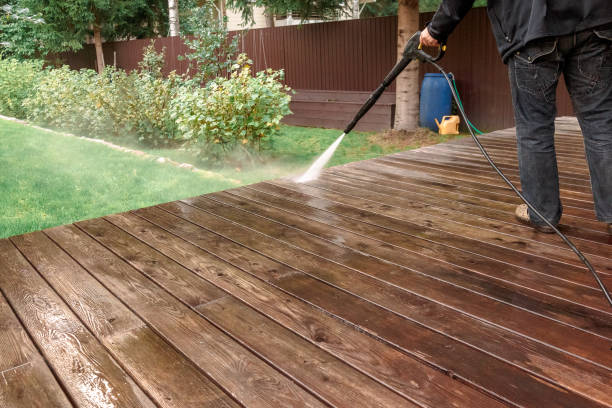 Best Sidewalk and Walkway Cleaning  in Montrose, MN